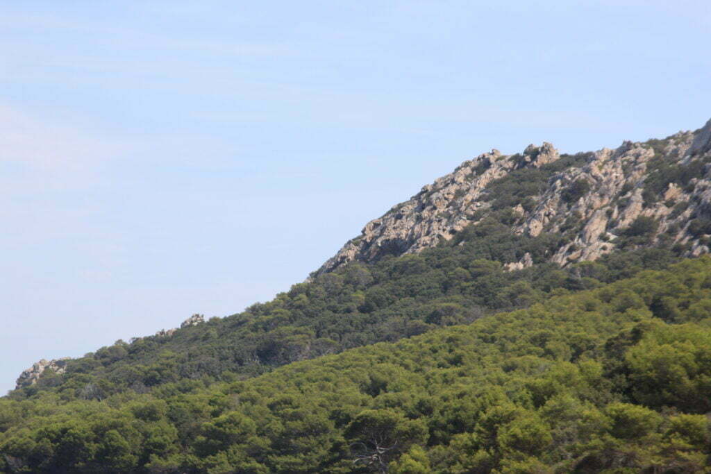 Porquerolles, in bici nel paradiso mediterraneo a largo della Provenza - immagine 7