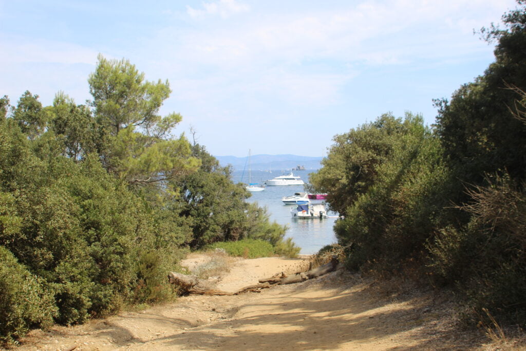 Porquerolles, in bici nel paradiso mediterraneo a largo della Provenza - immagine 12