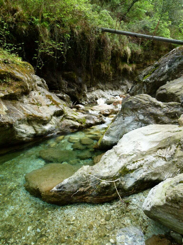 Pozze Malbacco nella natura dell'Alta Versilia - immagine 4