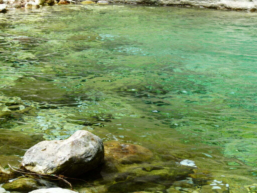 Pozze Malbacco nella natura dell'Alta Versilia - immagine 9