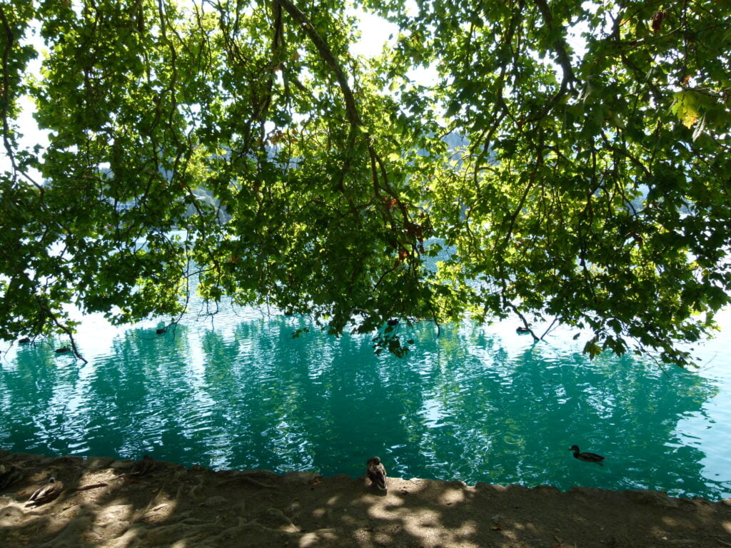 Lago di Bled, cosa vedere nella perla slovena - immagine 5