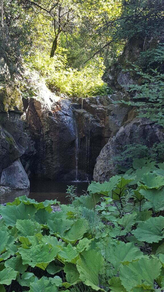 Il trekking facile al Masso delle Fanciulle e a San Michele alle Formiche - immagine 15