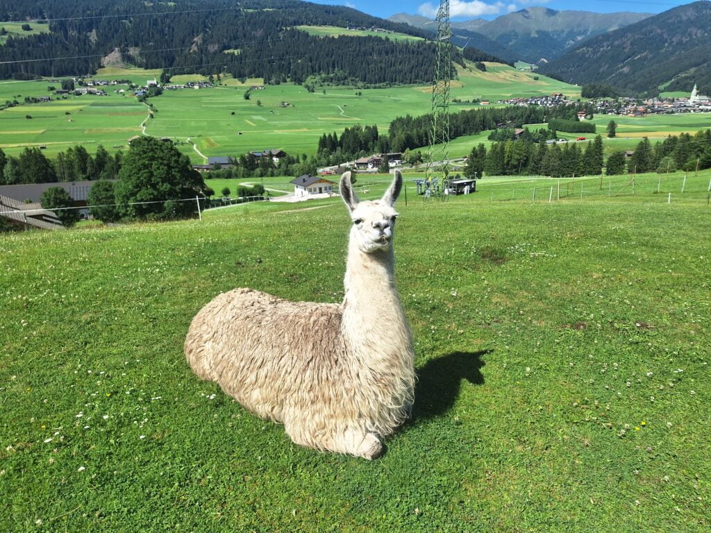 Val Pusteria, l'itinerario di 7 giorni - immagine 19