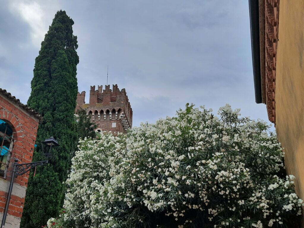 Lazise sul Garda, primo Comune d'Italia - immagine 7