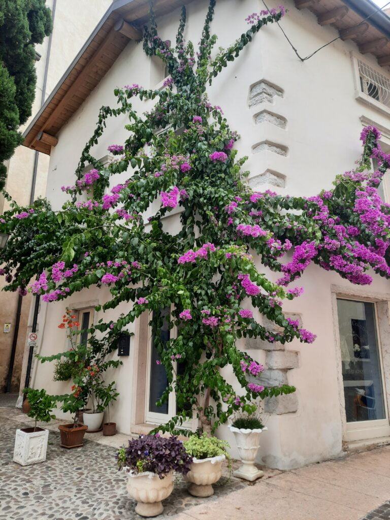 Lazise sul Garda, primo Comune d'Italia - immagine 5