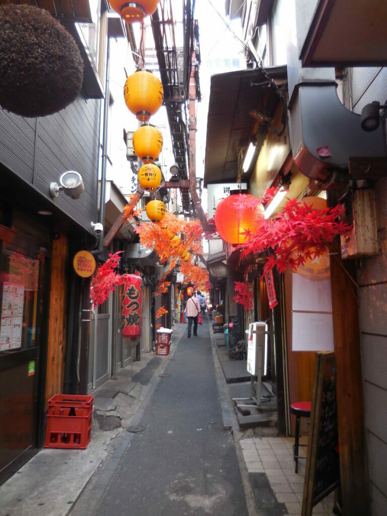 1° giorno a Tokyo, cosa non perdere tra Shibuya e Shinjuku - immagine 19