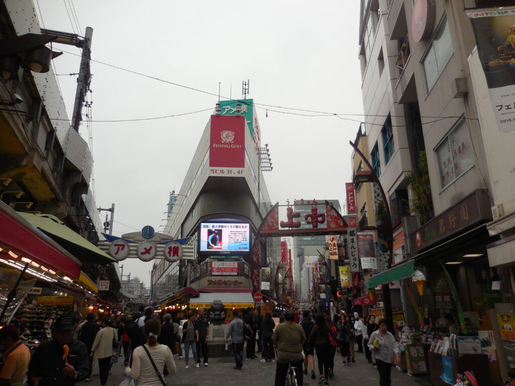 2° giorno a Tokyo: Asakusa, Ueno, Akihabara e relax all'onsen - immagine 14