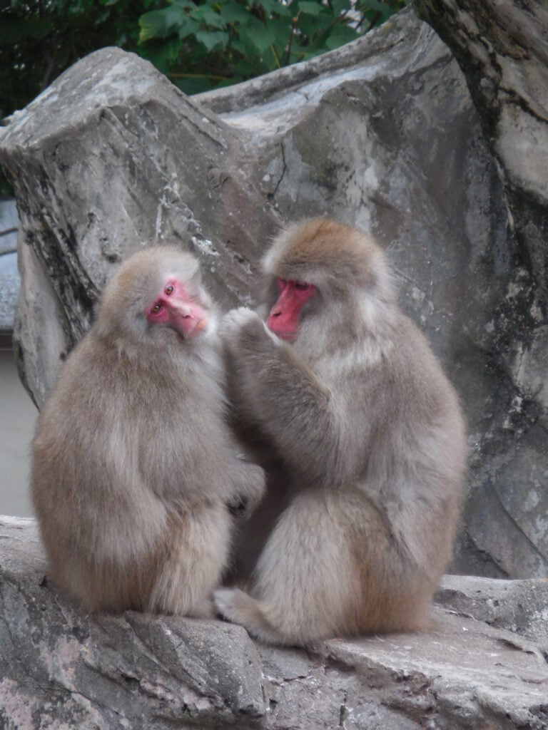 2° giorno a Tokyo: Asakusa, Ueno, Akihabara e relax all'onsen - immagine 18