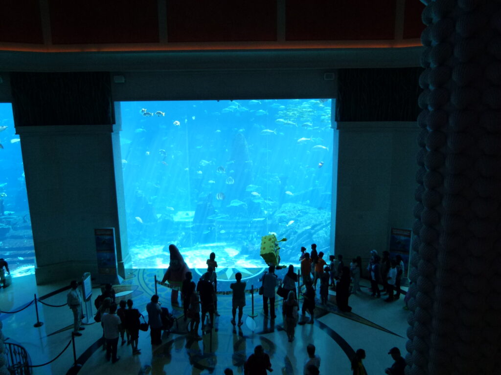 Aquaventure...divertimento in acqua a Dubai! - immagine 3