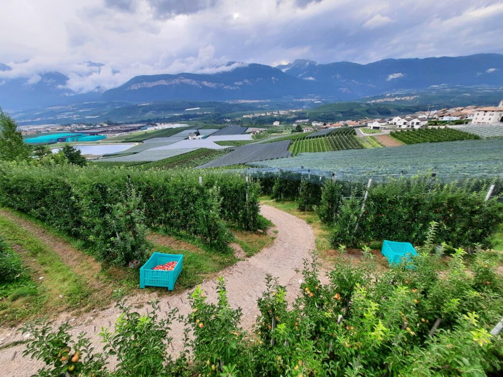 Val di Non: l'itinerario perfetto in 4 giorni (anche) con i bambini - immagine 6