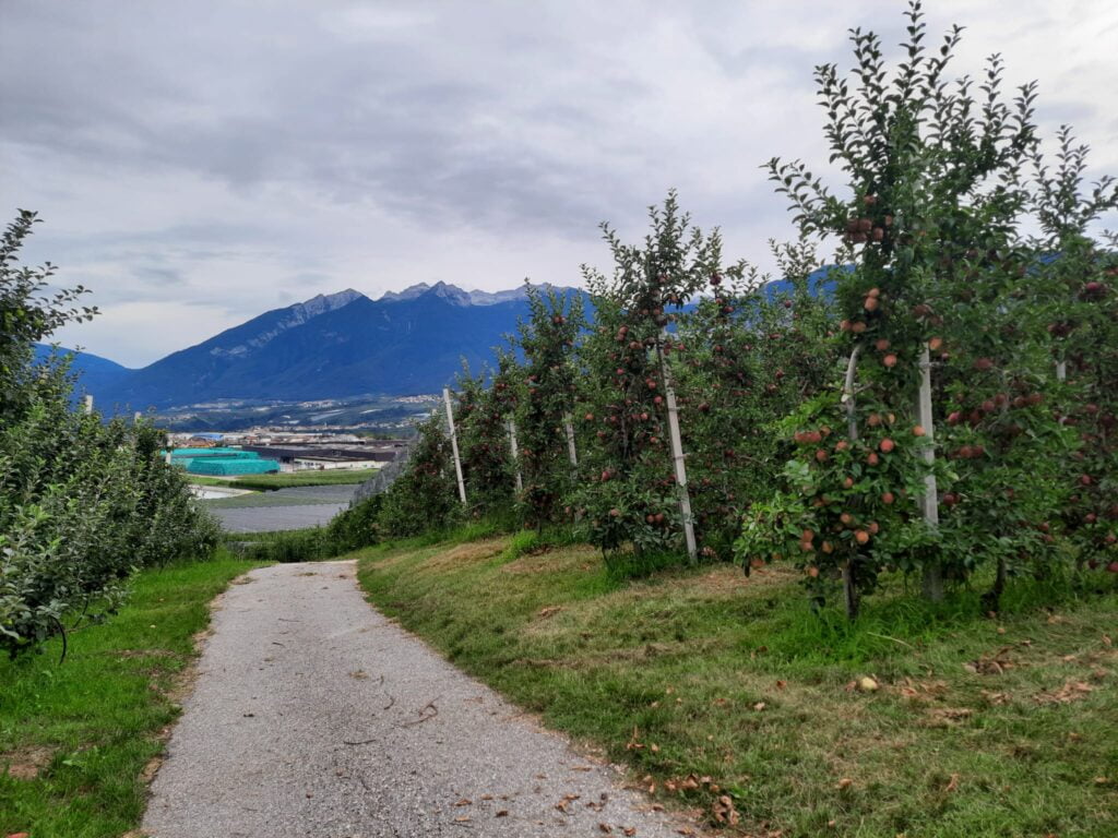 Val di Non: l'itinerario perfetto in 4 giorni (anche) con i bambini - immagine 19