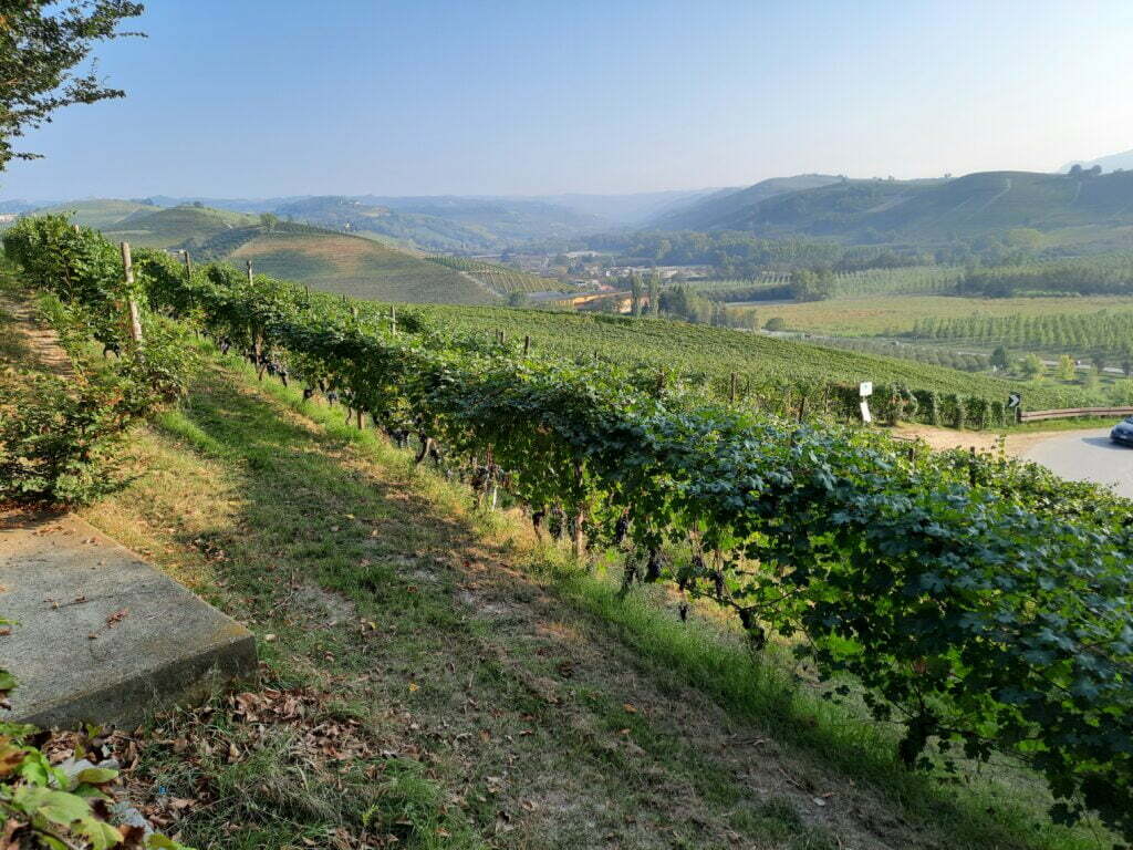 Langhe, cosa vedere assolutamente in 2 giorni (con un neonato) - immagine 12