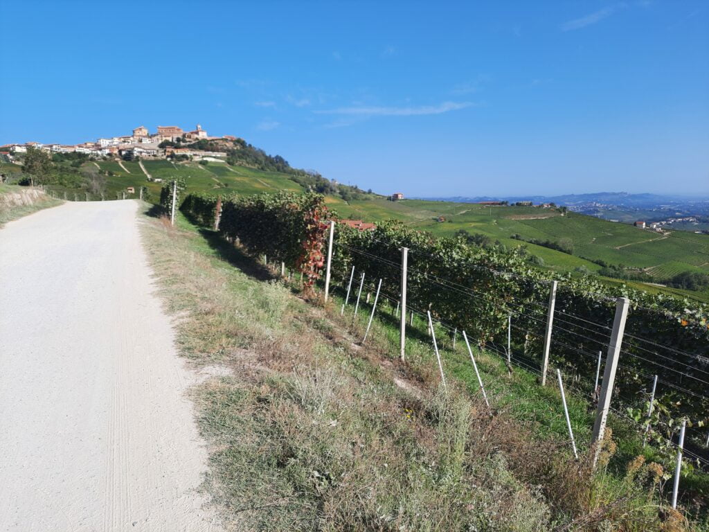 Langhe, cosa vedere assolutamente in 2 giorni (con un neonato) - immagine 18