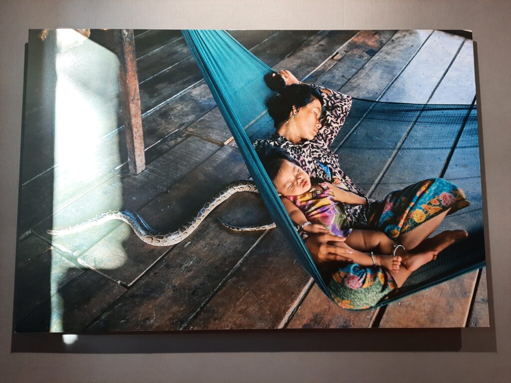 Steve McCurry in mostra a Pisa con oltre 90 Icons - immagine 11