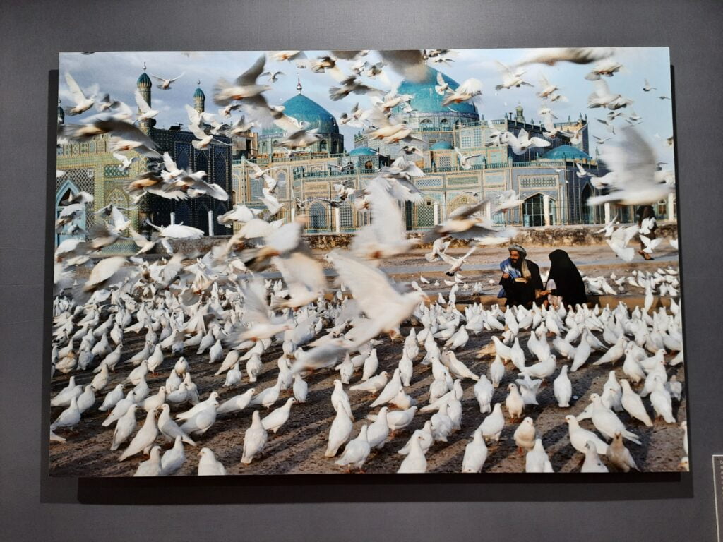 Steve McCurry in mostra a Pisa con oltre 90 Icons - immagine 19