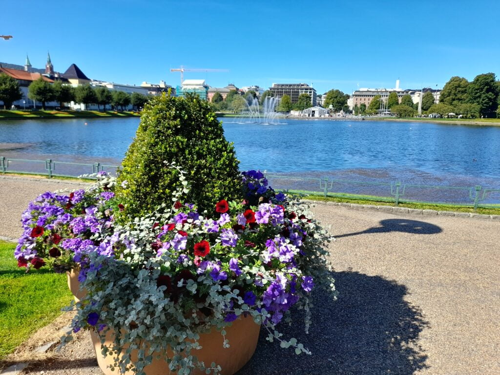 Bergen, una cartolina nel cuore dei fiordi - immagine 5