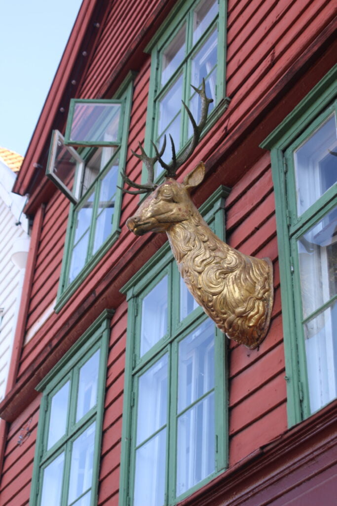 Bergen, una cartolina nel cuore dei fiordi - immagine 14