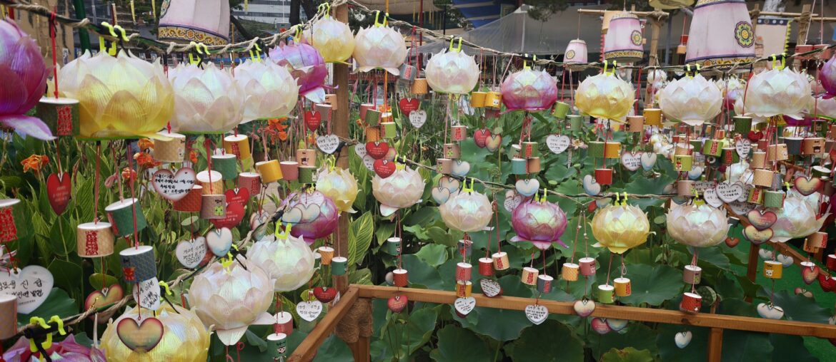 Corea del Sud, itinerario 13 giorni con bambini - immagine 217