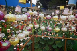 Corea del Sud, itinerario 13 giorni con bambini - immagine 9